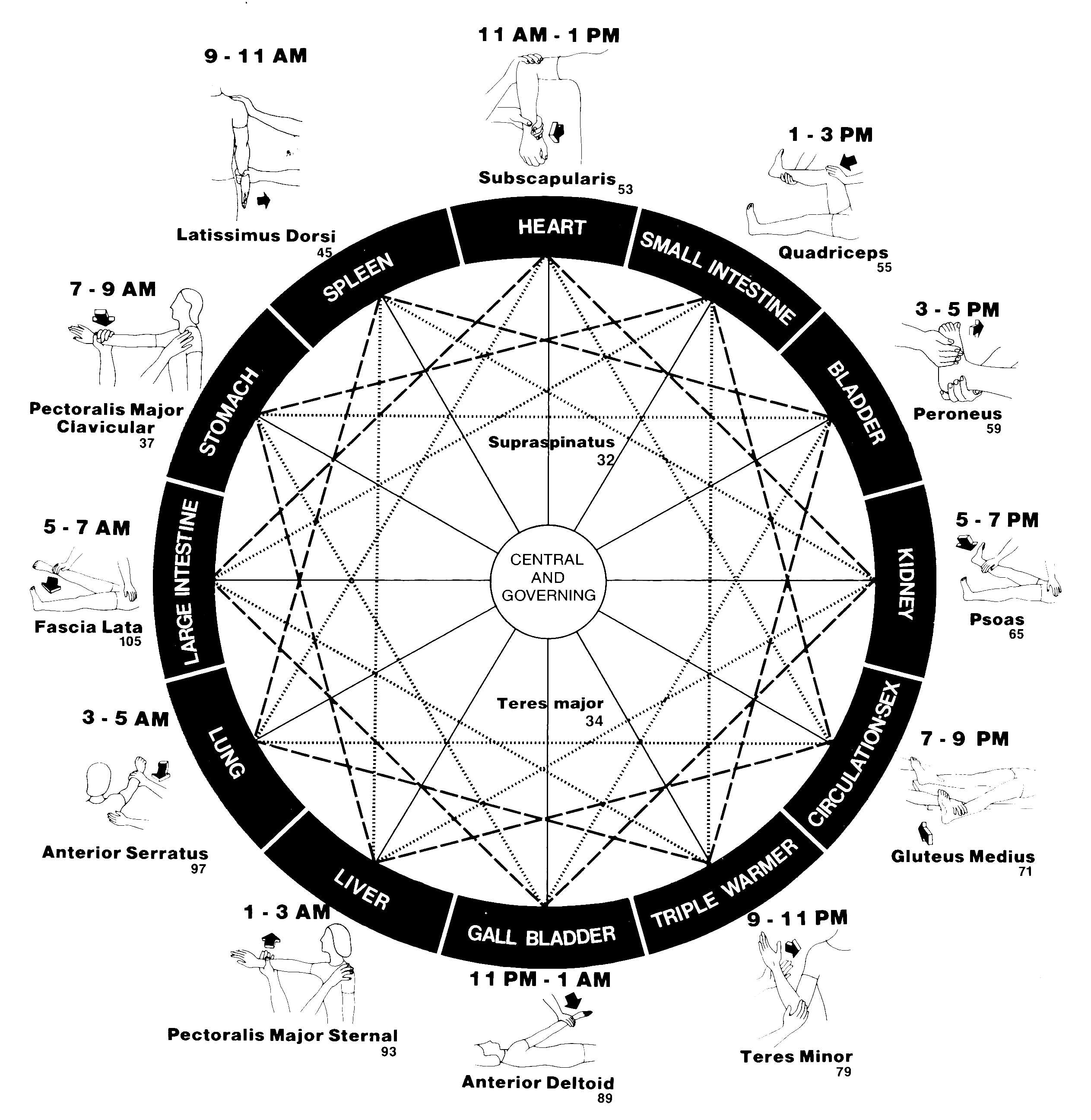 wheel.jpg (486652 bytes)